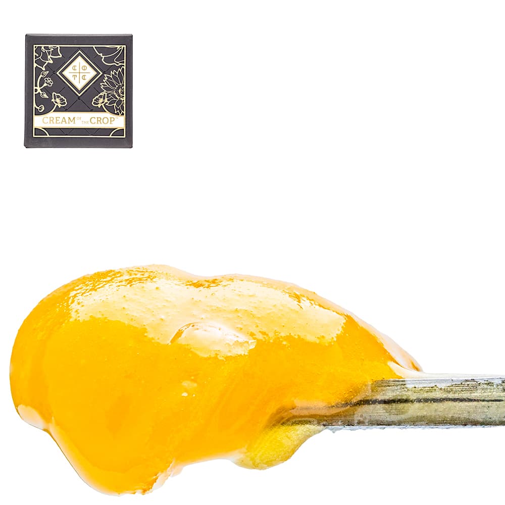 All Time High Badder